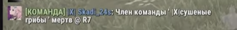 раст плагин.png